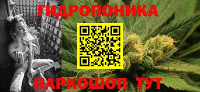 гашик Пыть-Ях