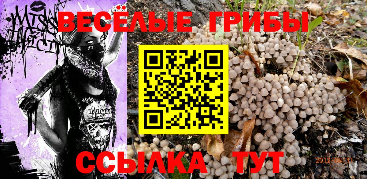 Галлюциногенные грибы прущие грибы  Галлюциногенные грибы Cubensis  Ростов-на-Дону  Вход с VPN 